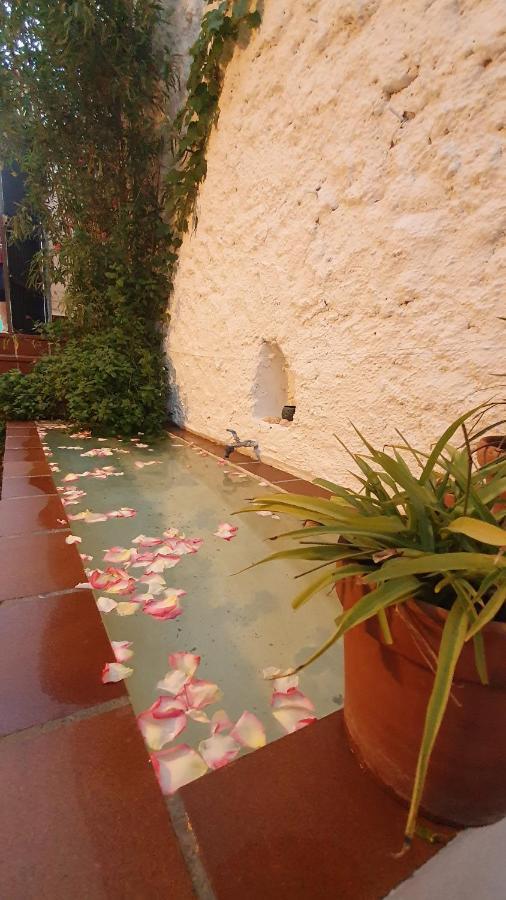 Casa Bambu Apartment Granada Exterior foto